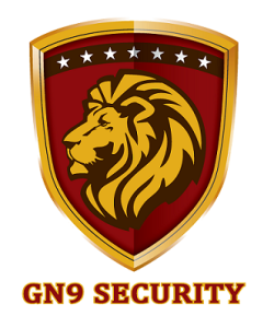 GN9 Security Solutions